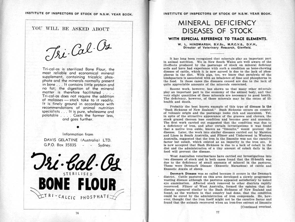 1938 Page 76 77